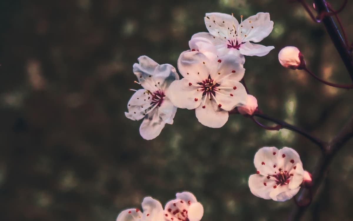 Méně bolesti, více pohody